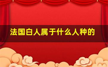 法国白人属于什么人种的