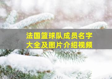 法国篮球队成员名字大全及图片介绍视频