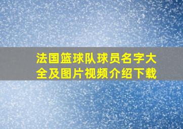 法国篮球队球员名字大全及图片视频介绍下载