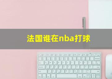 法国谁在nba打球