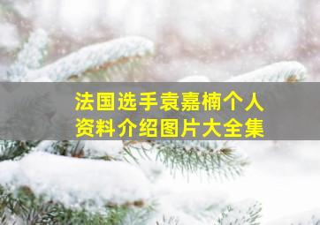 法国选手袁嘉楠个人资料介绍图片大全集