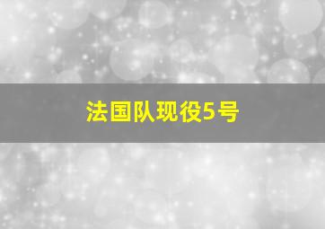 法国队现役5号