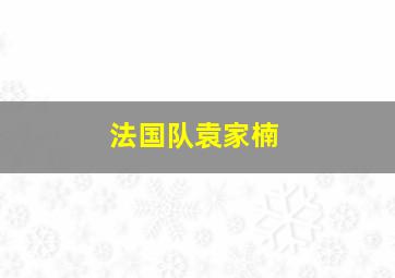 法国队袁家楠