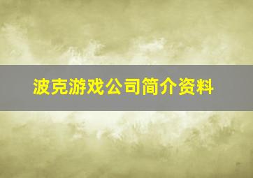 波克游戏公司简介资料