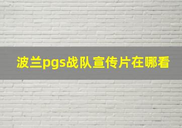 波兰pgs战队宣传片在哪看