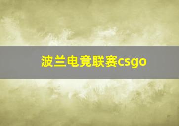 波兰电竞联赛csgo