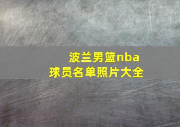 波兰男篮nba球员名单照片大全