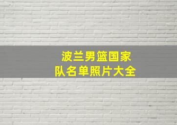 波兰男篮国家队名单照片大全