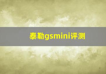 泰勒gsmini评测