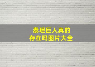 泰坦巨人真的存在吗图片大全