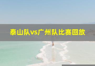 泰山队vs广州队比赛回放