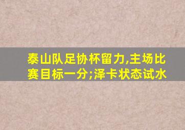 泰山队足协杯留力,主场比赛目标一分;泽卡状态试水