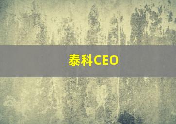 泰科CEO