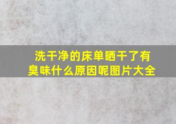 洗干净的床单晒干了有臭味什么原因呢图片大全