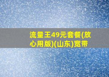 流量王49元套餐(放心用版)(山东)宽带