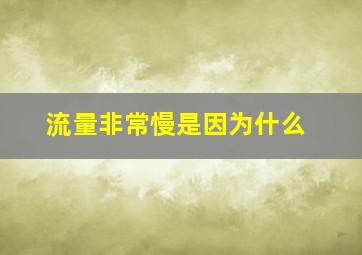 流量非常慢是因为什么