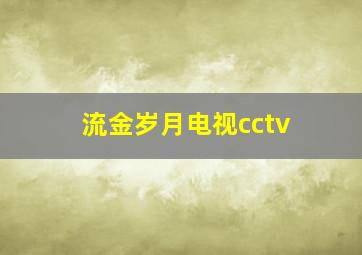 流金岁月电视cctv