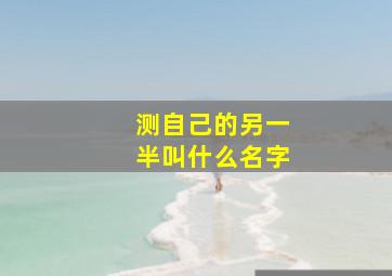 测自己的另一半叫什么名字