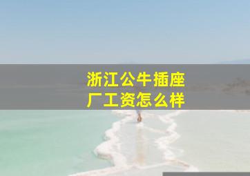 浙江公牛插座厂工资怎么样