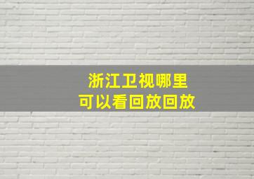 浙江卫视哪里可以看回放回放