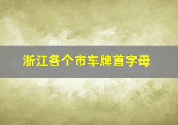 浙江各个市车牌首字母