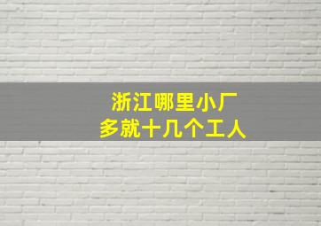 浙江哪里小厂多就十几个工人