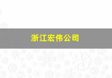 浙江宏伟公司