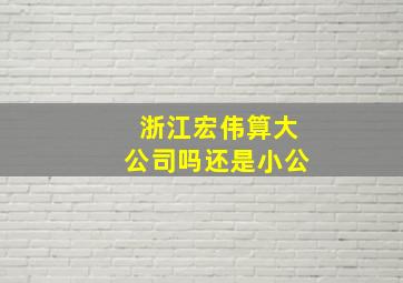 浙江宏伟算大公司吗还是小公