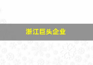 浙江巨头企业