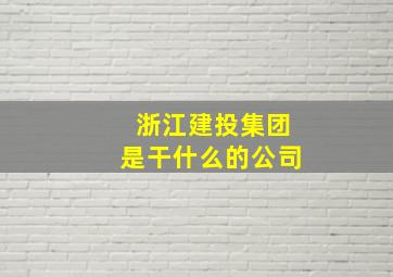 浙江建投集团是干什么的公司