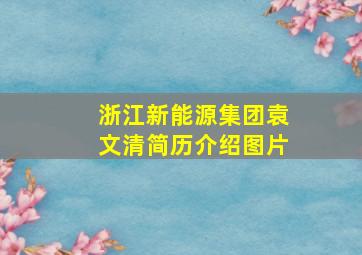 浙江新能源集团袁文清简历介绍图片