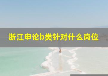 浙江申论b类针对什么岗位