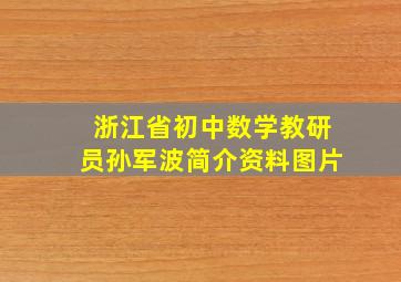 浙江省初中数学教研员孙军波简介资料图片