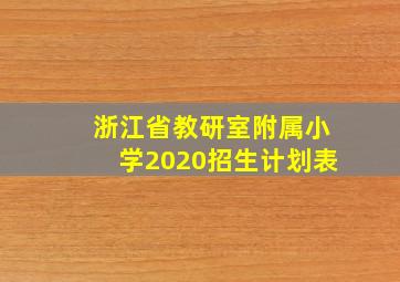 浙江省教研室附属小学2020招生计划表