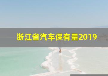 浙江省汽车保有量2019