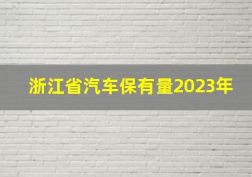 浙江省汽车保有量2023年