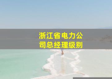 浙江省电力公司总经理级别