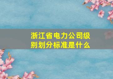 浙江省电力公司级别划分标准是什么