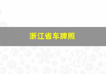 浙江省车牌照