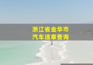 浙江省金华市汽车违章查询