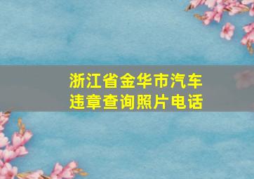 浙江省金华市汽车违章查询照片电话