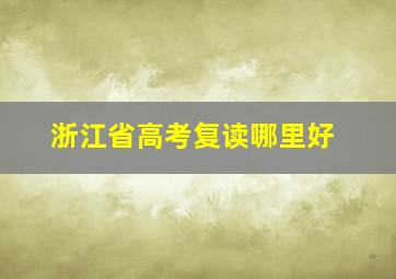 浙江省高考复读哪里好