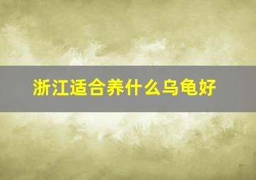 浙江适合养什么乌龟好