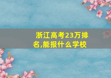 浙江高考23万排名,能报什么学校