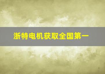 浙特电机获取全国第一