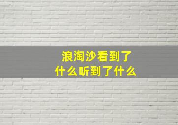 浪淘沙看到了什么听到了什么