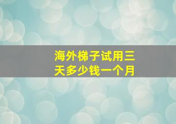 海外梯子试用三天多少钱一个月