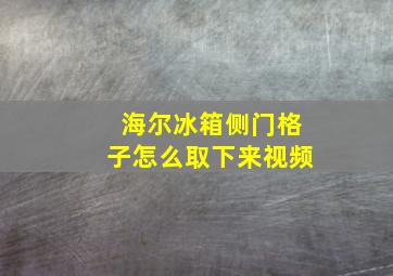 海尔冰箱侧门格子怎么取下来视频