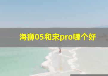 海狮05和宋pro哪个好