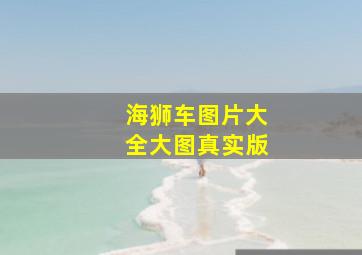 海狮车图片大全大图真实版